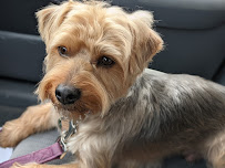 Buzz n B's Aquarium & Pet Shop