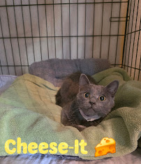 Millcreek Animal Hospital