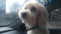 Northwest PA Pet Emergency Center