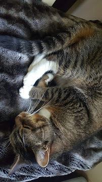 Catmandu Retreat