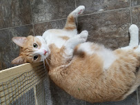 Catmandu Retreat