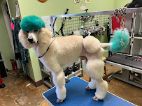 Bare Bones Dog Wash