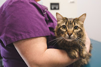Pawsitive Wellness Veterinary Care LLC