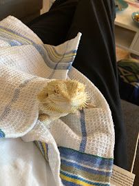 Le Loft Canin de l'Outaouais