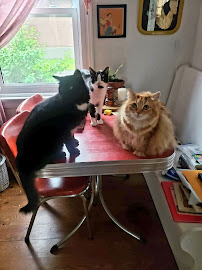 Le Loft Canin de l'Outaouais