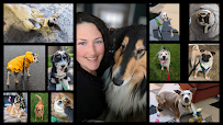 COMPAGNONS QUATRE PATTES - Toilettage pour chiens