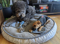 Au Royaume des Animaux, votre animalerie locale!