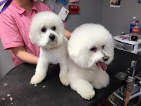 Riverside Pet Club and Resort