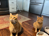 Once Upon a Dog Tail LLC