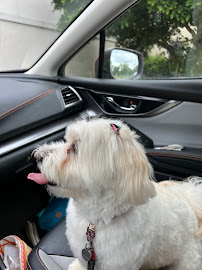 Gochenauer Pet Resort