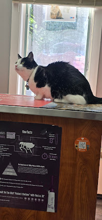 Red Rose Pet Care Center