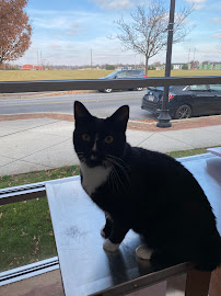 Furdunkin Veterinary Emergency Hospital