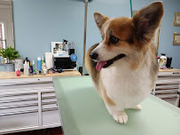 Lancaster Pet Grooming