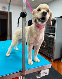 Lancaster Pet Grooming