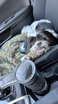 Happy Tails Animal Hospital