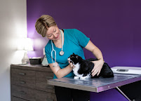 Healing Paws Animal Hospital