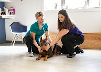Healing Paws Animal Hospital