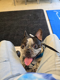 VCA Bridgeport Animal Hospital