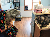 Lincoln Highway Veterinary Clinic