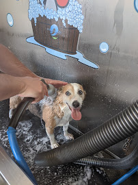 Keystone Pet Place Mount Joy