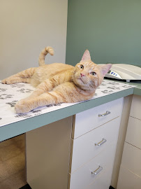 West Lancaster Animal Hospital