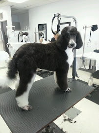 High Energy Animal Training (HEAT)