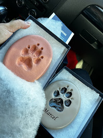 London Beloved Pet Cremation
