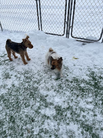 Richelieu Valley Canine Center