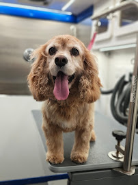 Pawznpolish