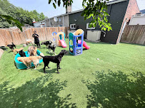 NeighbourHound