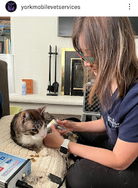 Markham Veterinary Clinic