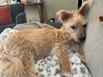 Markham Veterinary Clinic