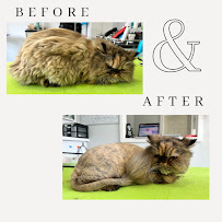 Pet Lavender - Pet Grooming & Boarding