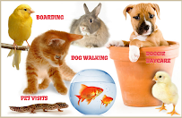 Village Animal Clinic