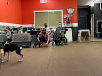 Prodogz Professional Dog Training