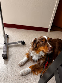 Rogue Valley Veterinary Emergency