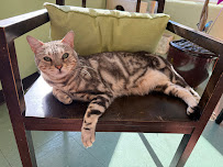 Pear Blossom Veterinary Clinic