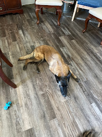 Southern Oregon Veterinary Specialty Center