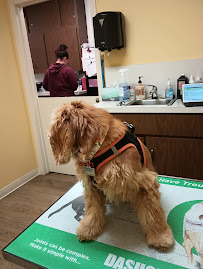 Lakeway Veterinary Hospital
