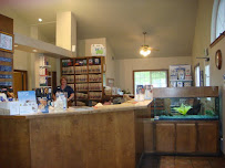 VCA Jackson Animal Hospital