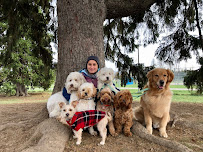 Woofin' It - Dog Walking & Pet Care