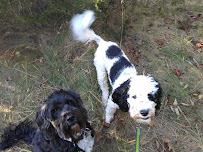 Winston and Friendz