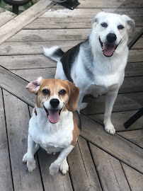 Winston and Friendz