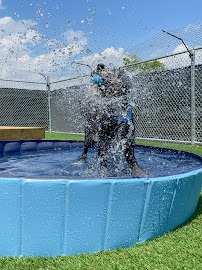 Dogtopia of Meadowvale