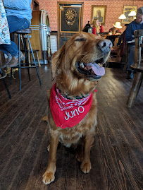 Dog N' Suds Pet Services Ltd