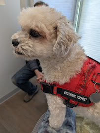 Wild Tails Grooming and Daycare