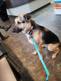 Chase River Veterinary Hospital