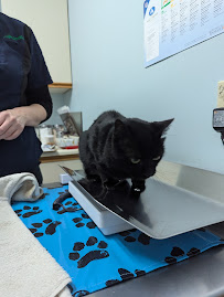 Petroglyph Animal Hospital