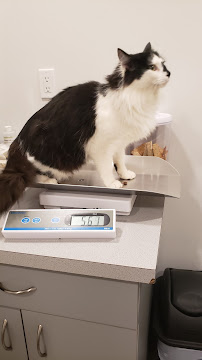 Westview Veterinary Services