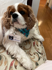 Waterfront Park Veterinary Clinic